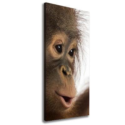 Foto leinwand vertikales Junger Orang-Utan