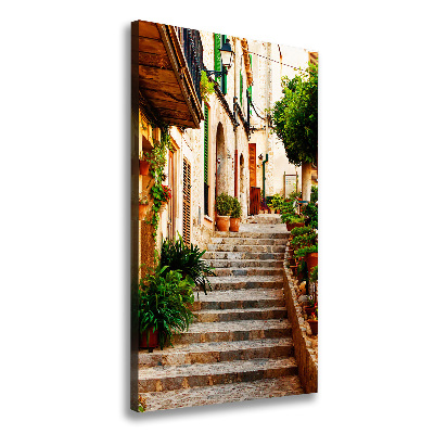 Foto auf leinwand vertikales Straßen in Spanien