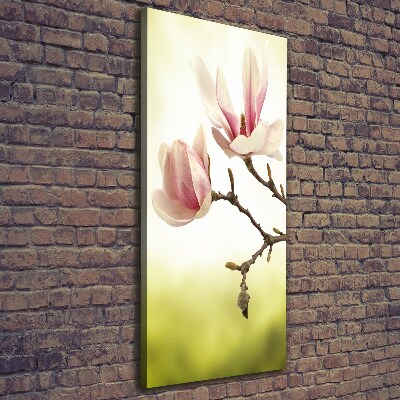 Foto auf leinwand vertikales Magnolienblüten