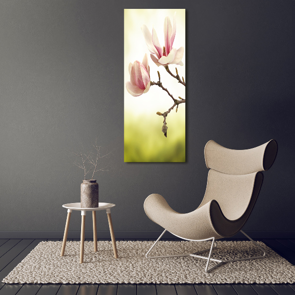 Foto auf leinwand vertikales Magnolienblüten