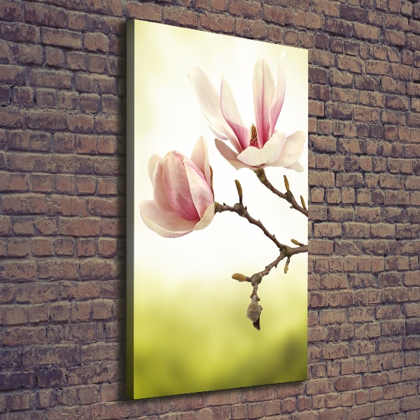 Foto auf leinwand vertikales Magnolienblüten