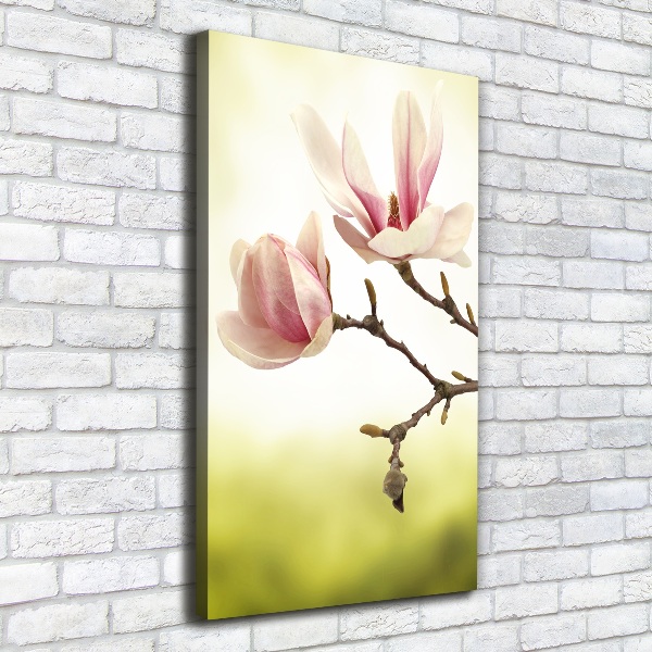 Foto auf leinwand vertikales Magnolienblüten