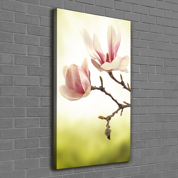 Foto auf leinwand vertikales Magnolienblüten