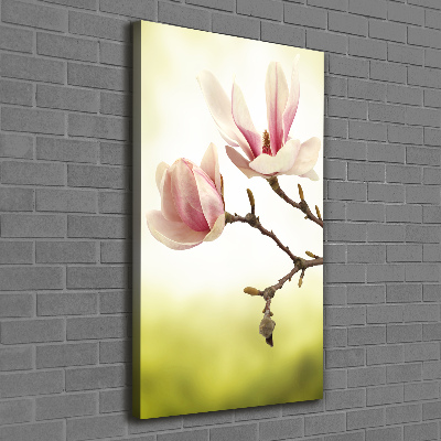Foto auf leinwand vertikales Magnolienblüten
