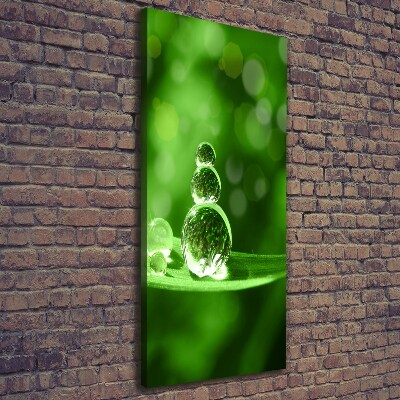 Wandbild vertikales Tropfen auf dem Gras