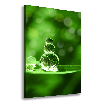 Wandbild vertikales Tropfen auf dem Gras