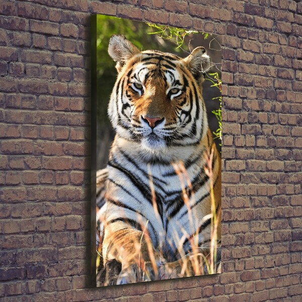 Wandbild vertikales Tiger
