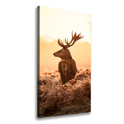 Foto leinwand vertikales Hirsch-Sonnenaufgang