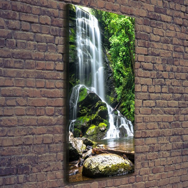 Foto auf leinwand vertikales Wasserfall im Dschungel