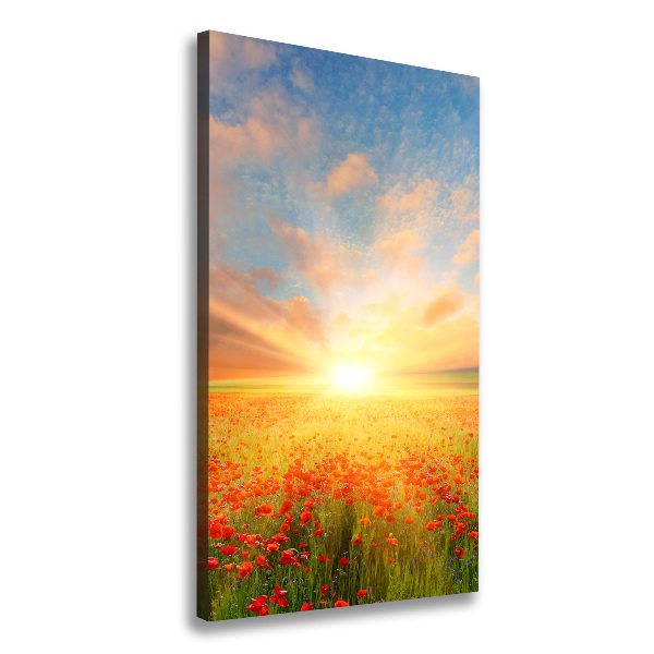 Wandbild vertikales Mohnfeld