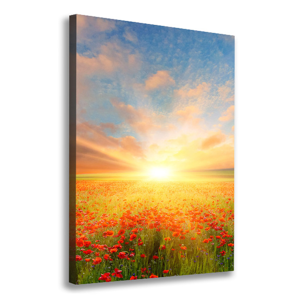 Wandbild vertikales Mohnfeld