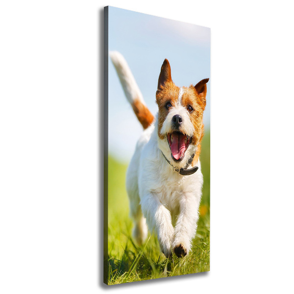 Wandbild vertikales Jack Russell Terrier