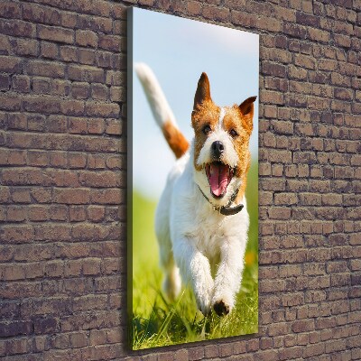 Wandbild vertikales Jack Russell Terrier