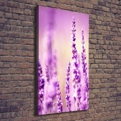 Foto leinwand vertikales Lavendel