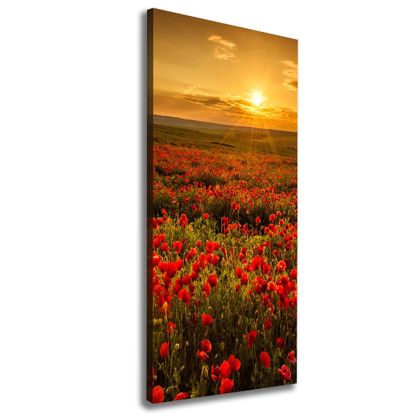 Foto leinwand vertikales Mohnfeld