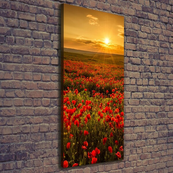 Foto leinwand vertikales Mohnfeld