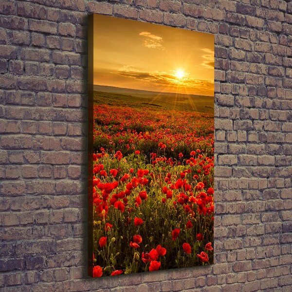 Foto leinwand vertikales Mohnfeld