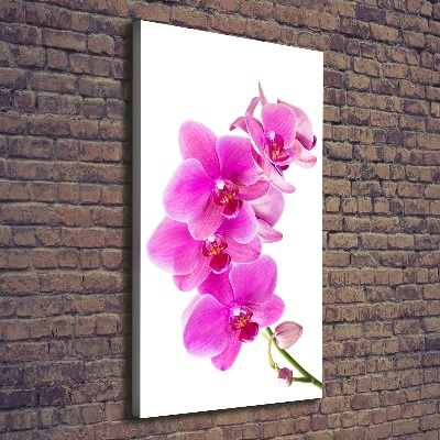 Foto auf leinwand vertikales Rosa Orchidee