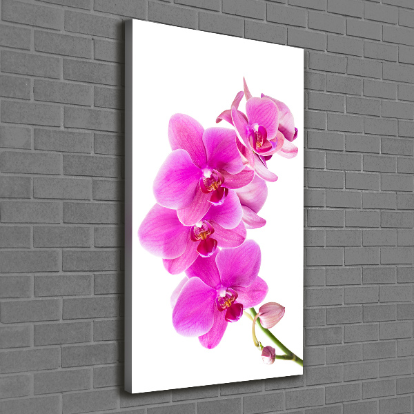 Foto auf leinwand vertikales Rosa Orchidee