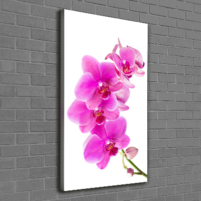 Foto auf leinwand vertikales Rosa Orchidee