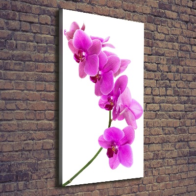 Wandbild vertikales Rosa Orchidee