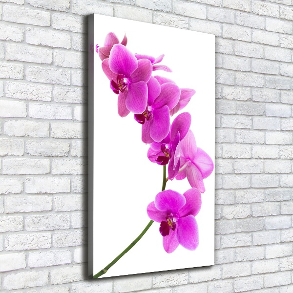 Wandbild vertikales Rosa Orchidee