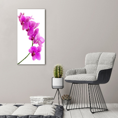 Wandbild vertikales Rosa Orchidee
