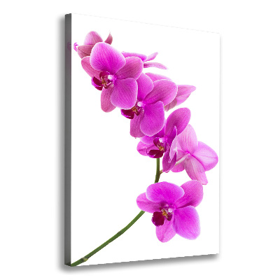Wandbild vertikales Rosa Orchidee