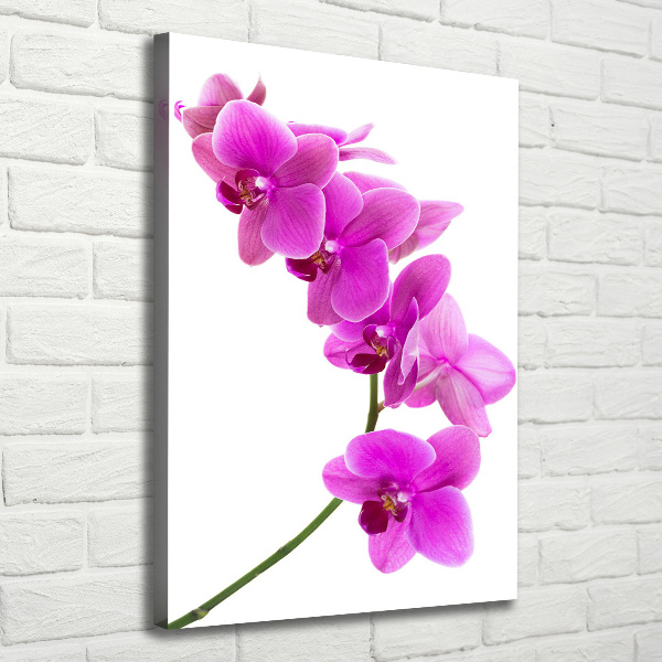 Wandbild vertikales Rosa Orchidee