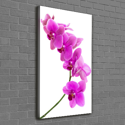Wandbild vertikales Rosa Orchidee