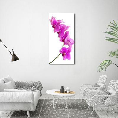 Wandbild vertikales Rosa Orchidee