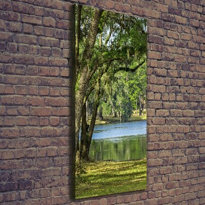 Foto auf leinwand vertikales See im Park