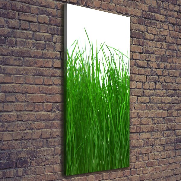 Wandbild vertikales Gras