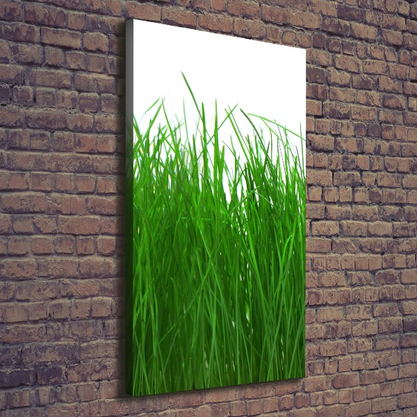 Wandbild vertikales Gras