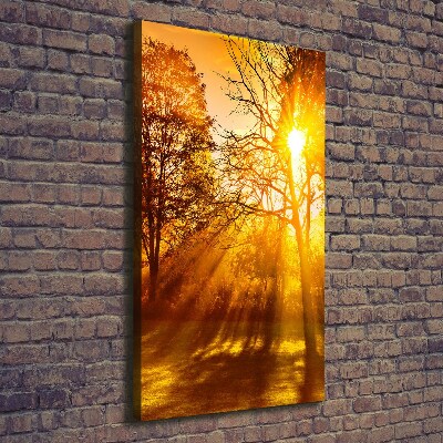 Foto leinwand vertikales Park im Herbst