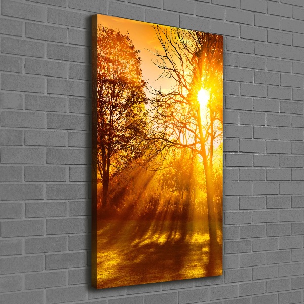 Foto leinwand vertikales Park im Herbst