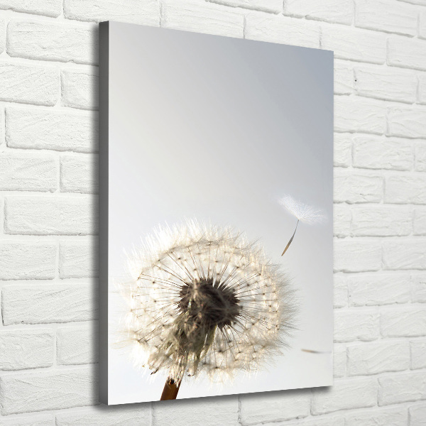 Wandbild vertikales Löwenzahn