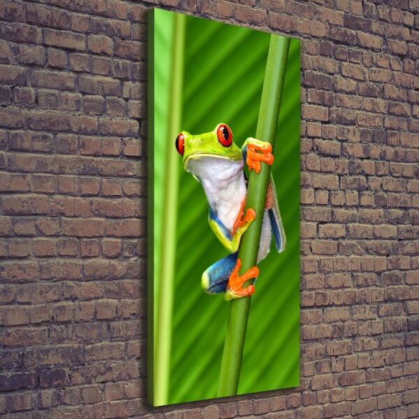Foto auf leinwand vertikales Europäischer Laubfrosch