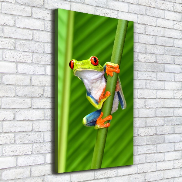 Foto auf leinwand vertikales Europäischer Laubfrosch