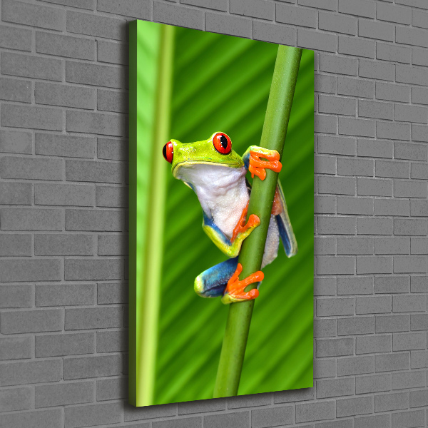 Foto auf leinwand vertikales Europäischer Laubfrosch