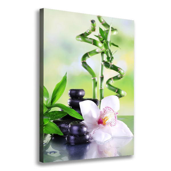 Foto leinwand vertikales Bambus