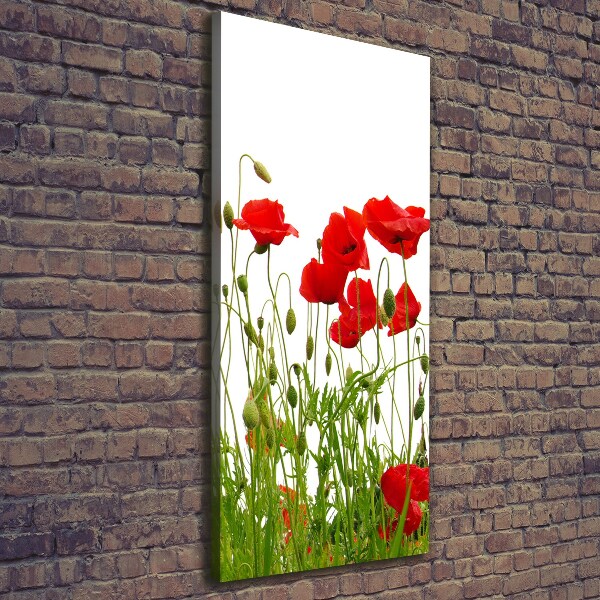 Foto auf leinwand vertikales Feldmohn