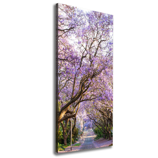 Foto leinwand vertikales Jacaranda-Pfad