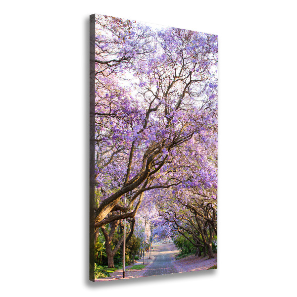Foto leinwand vertikales Jacaranda-Pfad