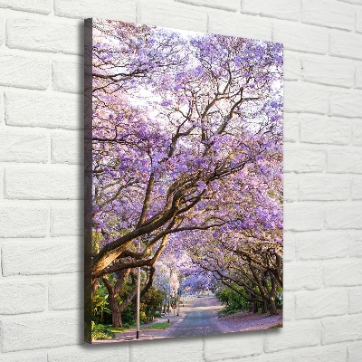 Foto leinwand vertikales Jacaranda-Pfad