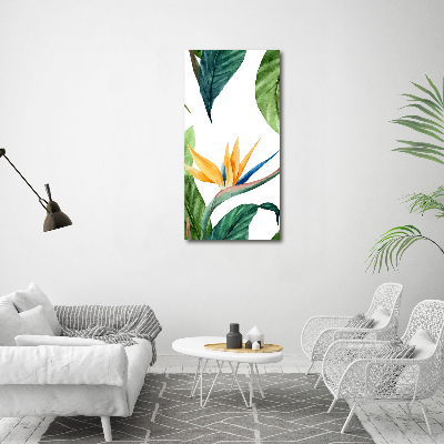 Foto leinwand vertikales Strelitzia reginae