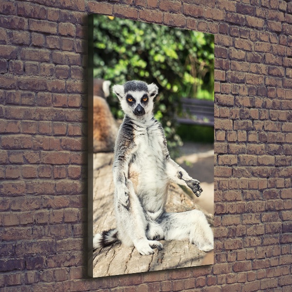 Foto auf leinwand vertikales Lemur