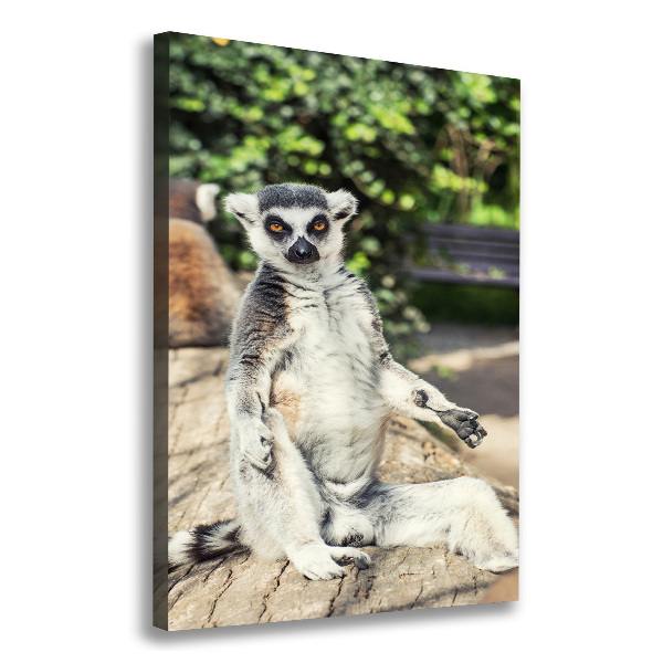 Foto auf leinwand vertikales Lemur