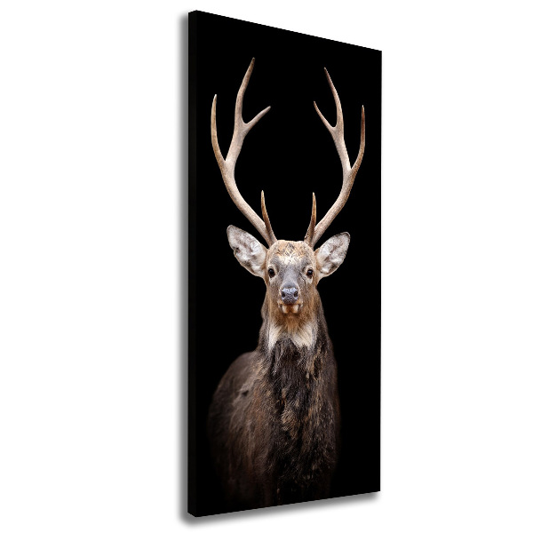 Wandbild vertikales Reh