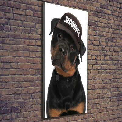 Foto leinwand vertikales Rottweiler mit Mütze
